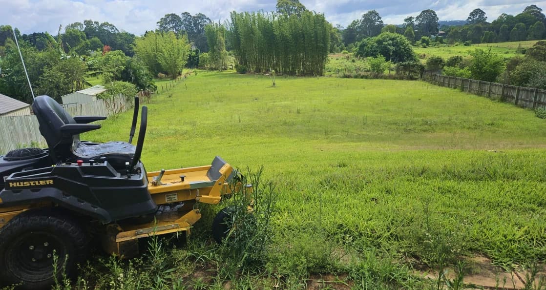 Professional lawn mowing in Logan QLD — striped lawn with clean precision edging