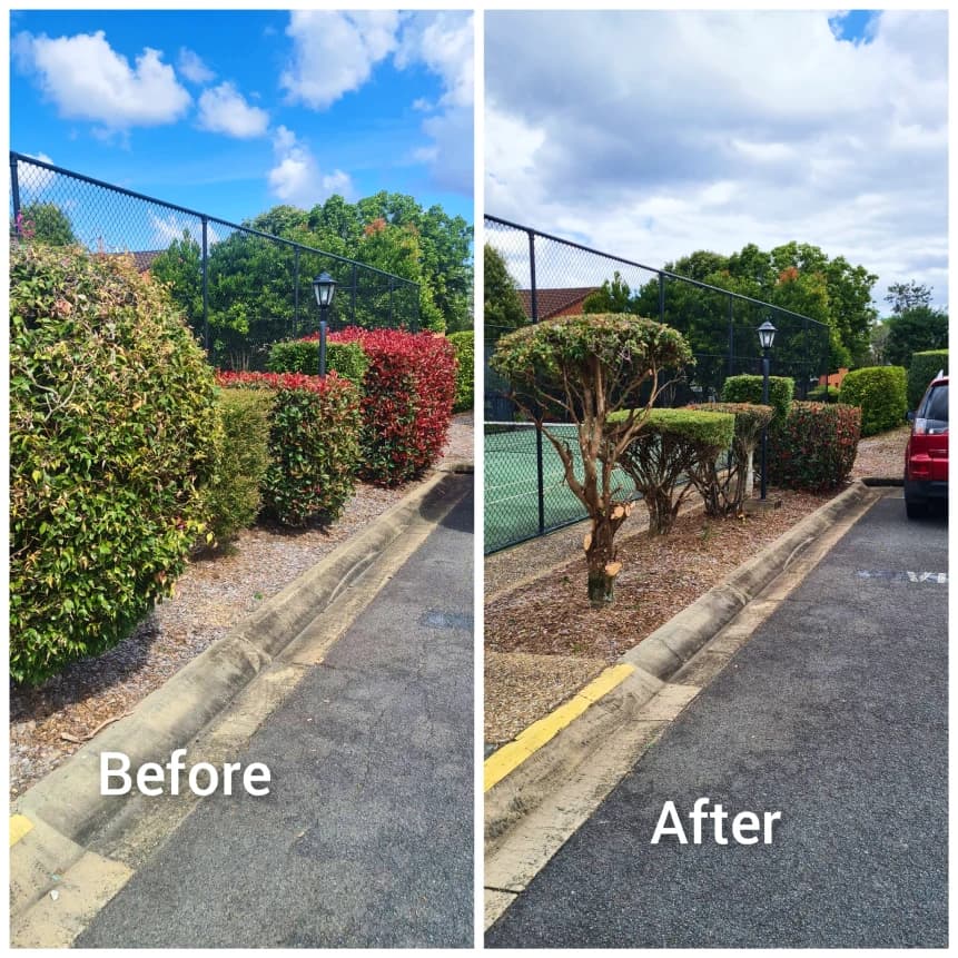 Body corporate common area garden maintenance Brisbane — strata landscaping and lawn care