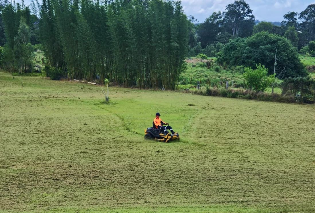 Well-maintained body corporate common area garden in Brisbane — strata landscaping and lawn care