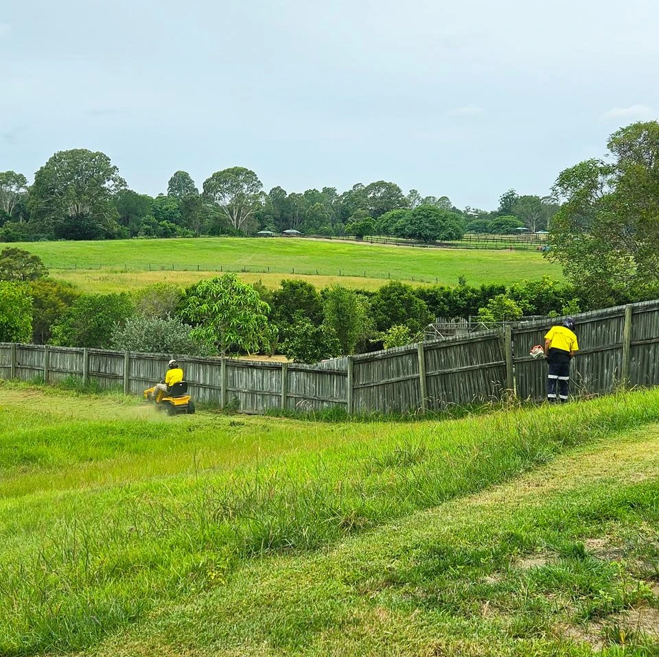 Lawn Mowing and Edging