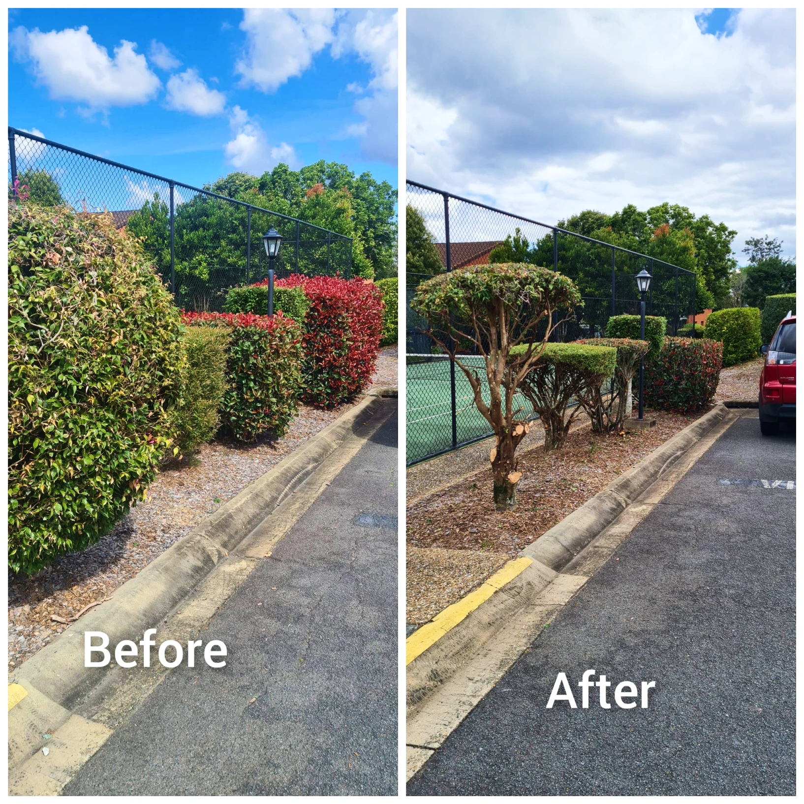 hedging and trimming
