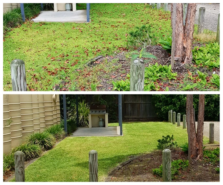 Lawn Renewal & Cleanup