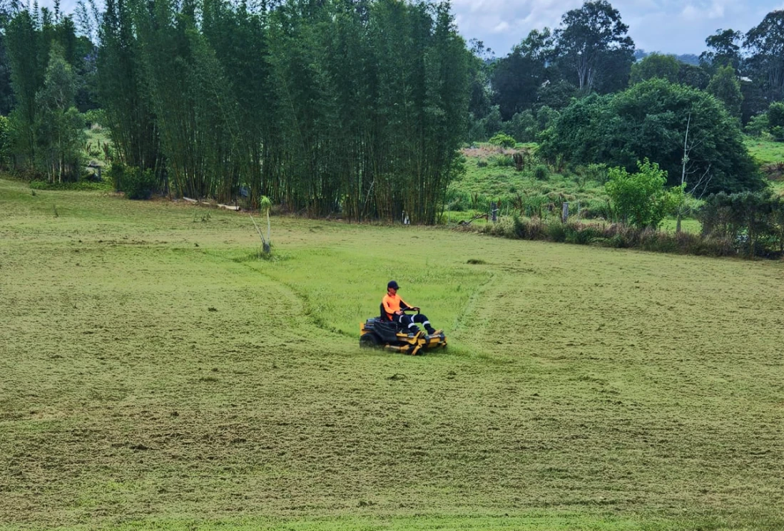 Mazzari Landscape Management - about us image